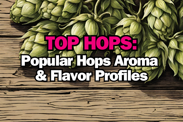 Popular Hops Varieties In Homebrewing - Flavor and Aroma Profiles ...