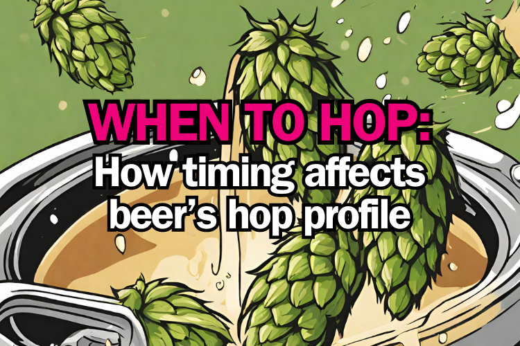 When to Add Hops to Your Beer A Look at How Timing Affects Beers Flav