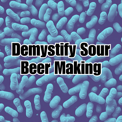 Sour Beer Making Demystified: An In-Depth Guide to Common Bacteria and Souring Methods