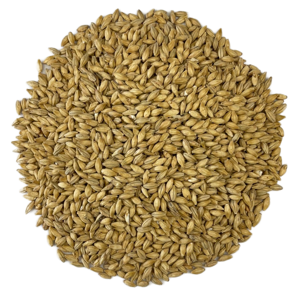 German Extra Pale Premium Pilsner Malt by Weyermann Sold by the Ounce