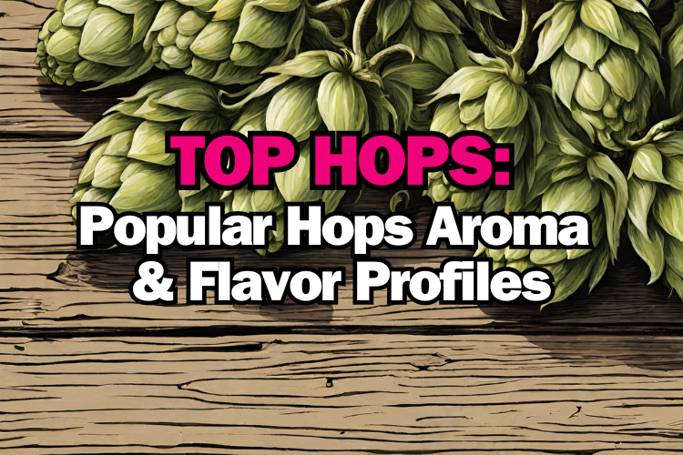 Top 32 Most Popular Hops Varieties in Homebrewing:  A Look at their Flavor and Aroma Profiles