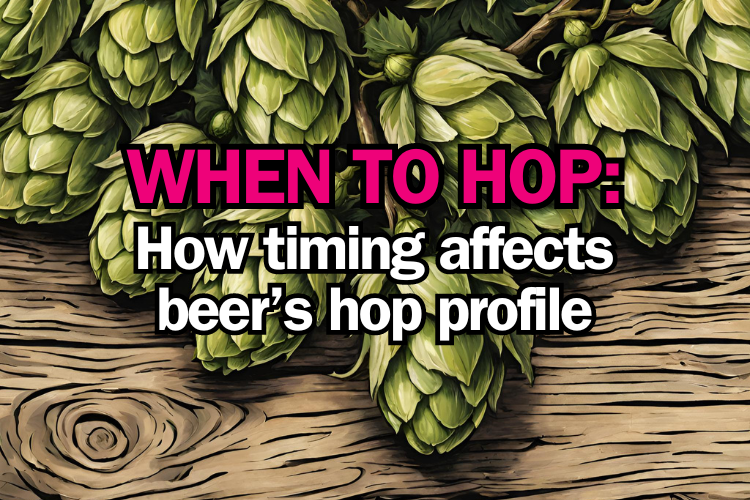 The Art of Home Brewing: The Importance of Hops Selection