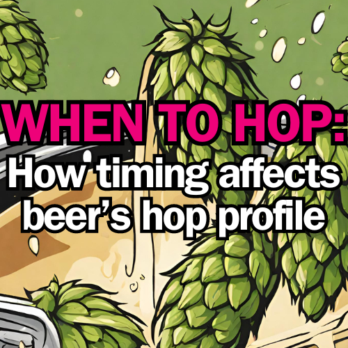 When to Add Hops to Your Wort: A Look at How Timing Affects Beers Flavor & Aroma