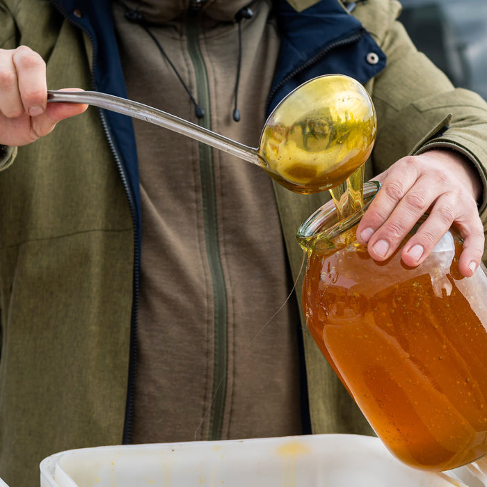 Man pouring Orange Blossom Honey into a jar for making sack mead.