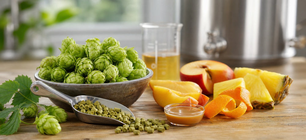 Dolcita HBC 1019 hops brewing profile with hop cones, pellets, peach, pineapple, orange peel, and sweet tropical aroma references
