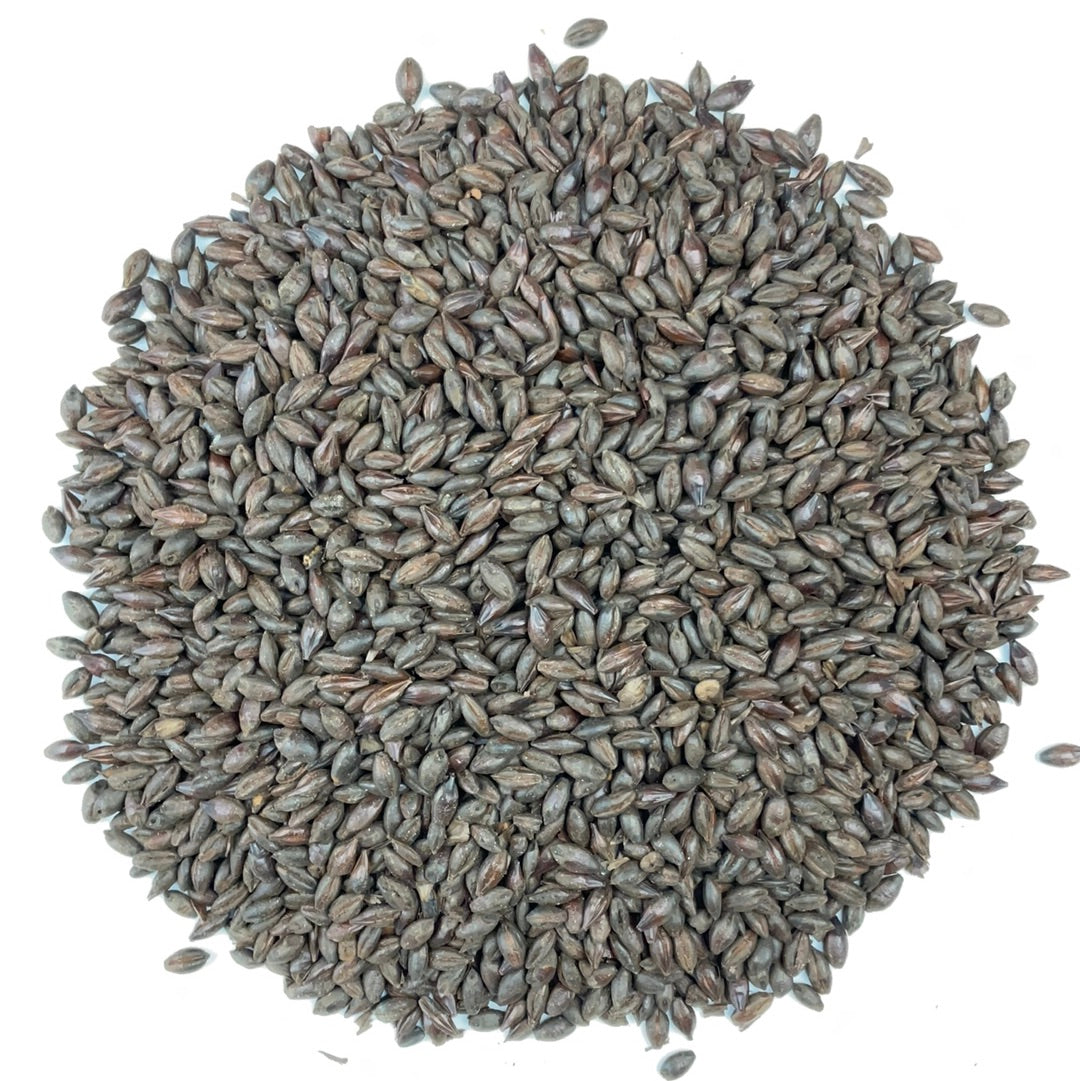 Weyermann® Roasted Barley - 1 oz.