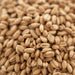 Rahr Extra Pale White Wheat Malt kernels