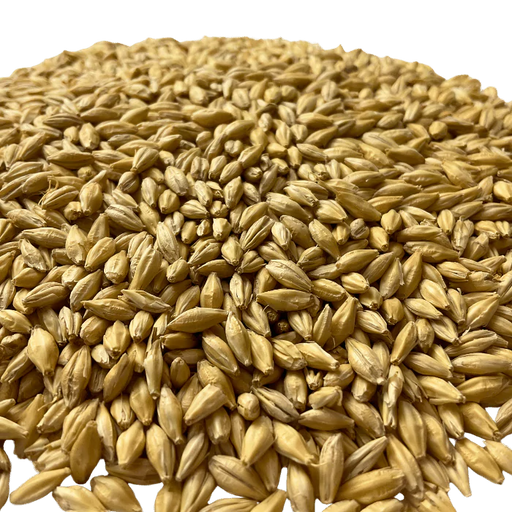 Admiral Maltings California Spirit Distiller's Malt – Close-up View Showing Grain Texture and Color