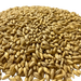 Admiral Maltings California Spirit Distiller's Malt – Close-up View Showing Grain Texture and Color