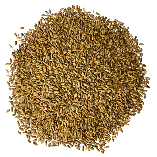 Admiral Maltings Admiral Capay Rye California-Grown Rye Malt – Top-Down View Showing Overall Grain Color