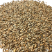 Admiral Maltings Admiral Capay Rye California-Grown Rye Malt – Close Up View Showing Grain Detail and Color