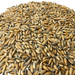 Admiral Maltings Admiral Clipper Oats California-Grown Oat Malt – Close-up View Showing Grain Color and Texture