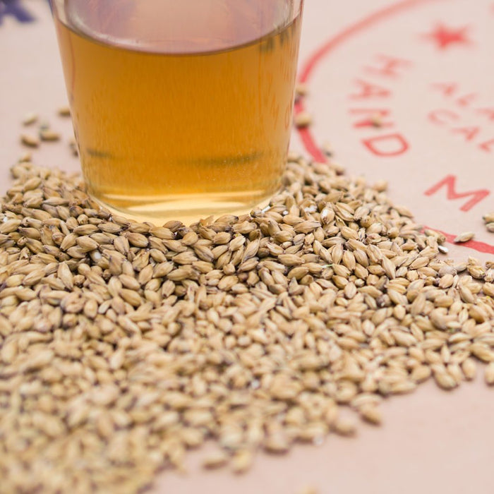 Close up image of Admiral's California Spirit malted grain and a pint glass of wort made with the barley grain to depict the color of the grain.