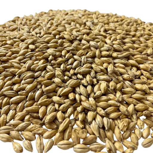 Admiral Maltings Admiral Feldblume Malt California-Grown 2-Row Malt – Close-up View Showing Grain Color and Texture.