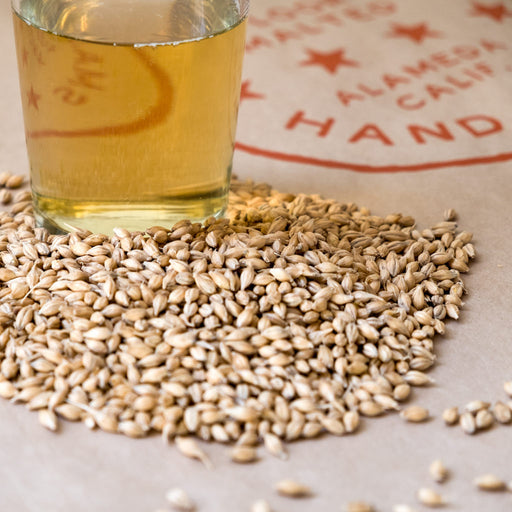 Close up image of Admiral's Feldblume malted grain and a pint glass of wort made with the barley grain to depict the color of the grain.