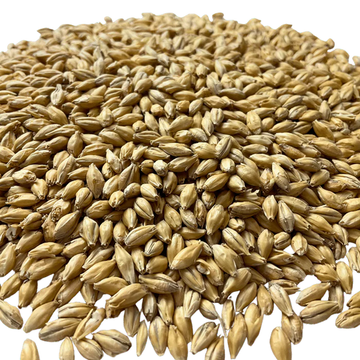 Admiral Maltings Admiral Gallagher's Best California-Grown Pale Ale Malt – Close-up View Showing Grain Color and Texture