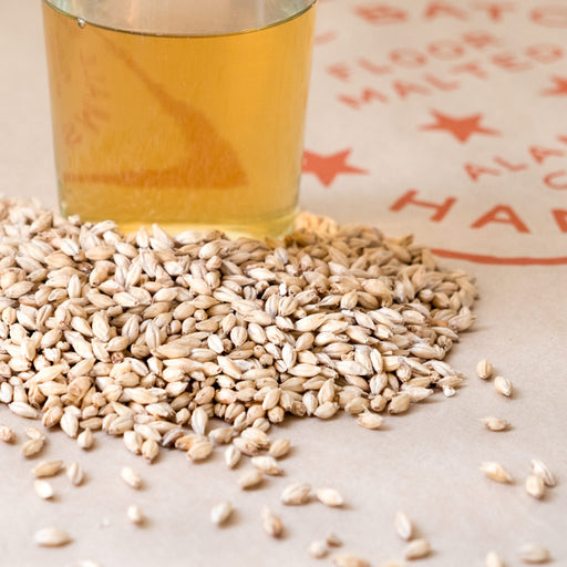 Close up image of Admiral's Gallagher's Best malted grain and a pint glass of wort made with the barley grain to depict the color of the grain.