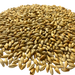 Admiral Maltings Admiral Kilnsmith California-Grown Organic Caramel Malt – Close-up View Showing Grain Color and Texture