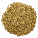 Admiral Maltings Admiral Midway Malt California-Grown Organic Munich Barley – Top-Down View Showing Overall Grain Color