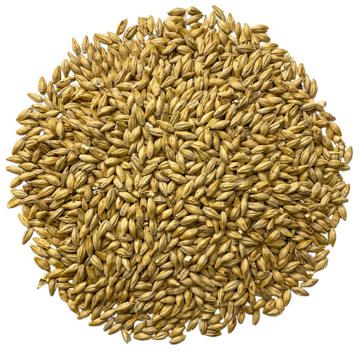 Admiral Maltings Admiral Pacific Victor Malt California-Grown Vienna-Style – Top-Down View Showing Overall Grain Color