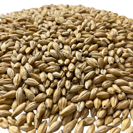 Admiral Maltings Admiral Pacific Victor Malt California-Grown Vienna-Style – Close-up View Showing Grain Color and Texture