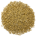 Admiral Maltings Admiral Pils Malt California-Grown Pilsner Barley – Top-Down View Showing Overall Grain Color