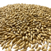 Admiral Maltings Admiral Pils Malt California-Grown Organic Pilsner Barley – Close-up View Showing Grain Color and Texture