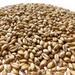 Admiral Maltings Admiral Yolo Gold Malt California-Grown Wheat – Close-up View Showing Grain Color and Texture