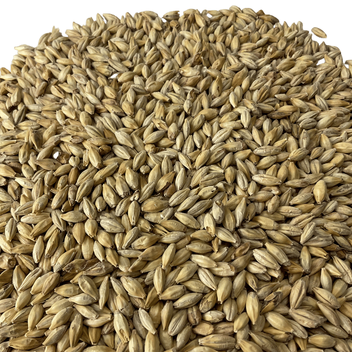 Circular pile of BESTMALZ Red-X Malt, close up view.