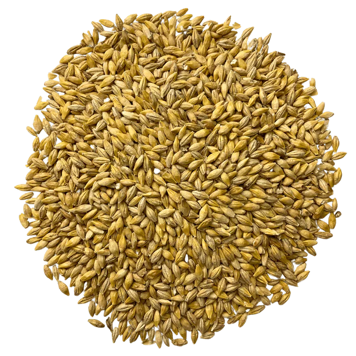 BestMalz Acidulated Malt for reducing mash pH to improve enzyme activity – Top-Down View Showing Overall Grain Color