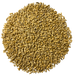 BestMalz Chit Malt for Enhanced Head Stability & Body – Top-Down View Showing Overall Grain Color