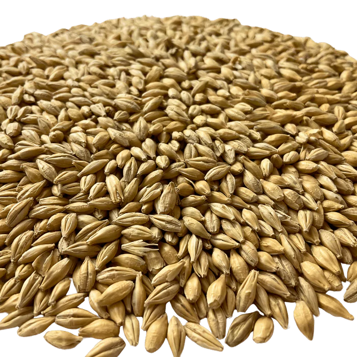 BestMalz Chit Malt for Enhanced Head Stability & Body – Close-up View Showing Grain Color and Texture