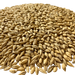 BestMalz Chit Malt for Enhanced Head Stability & Body – Close-up View Showing Grain Color and Texture