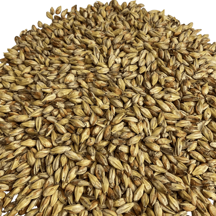 Close up image of Briess American Honey Malt for brewing.
