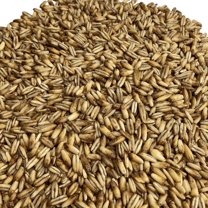Close up image of Briess Blonde RoastOat malt for brewing beer.