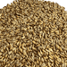 Close up image of Briess Blonde RoastOat malt for brewing beer.