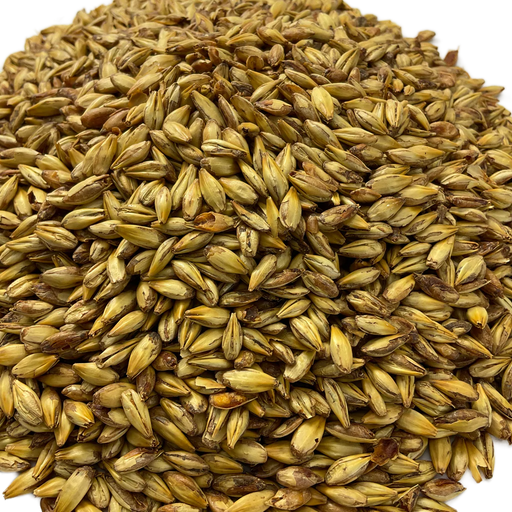 Briess Briess Caramel 20L Malt – Close-Up View Showing Detailed Grain Texture