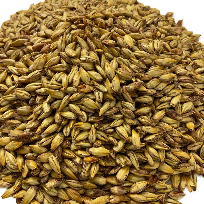 Briess Briess Caramel 20L Malt – Close-Up View Showing Detailed Grain Texture