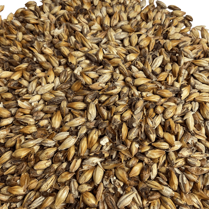 Close up image of Briess Caramel Munich 60L malt for brewing beer.