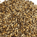 Close up image of Briess Caramel Munich 60L malt for brewing beer.