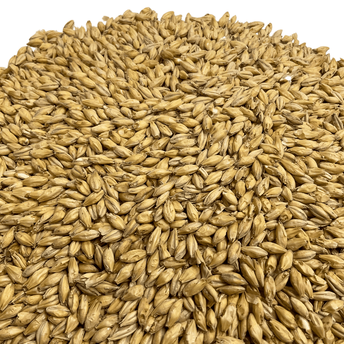 Image of Briess Goldpils® Vienna Malt for brewing beer, detailed view of grain.