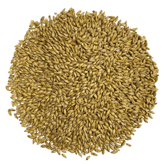 Image of Briess Goldpils® Vienna Malt for beer making, grain in circular shape.