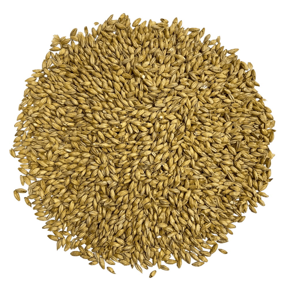 Base Malts for Brewing | 2-Row, Pilsner, Pale & Munich | SoCal