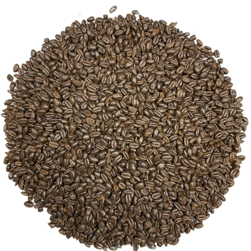 Briess Briess Midnight Wheat Malt – Top-Down View Showing Overall Grain Color