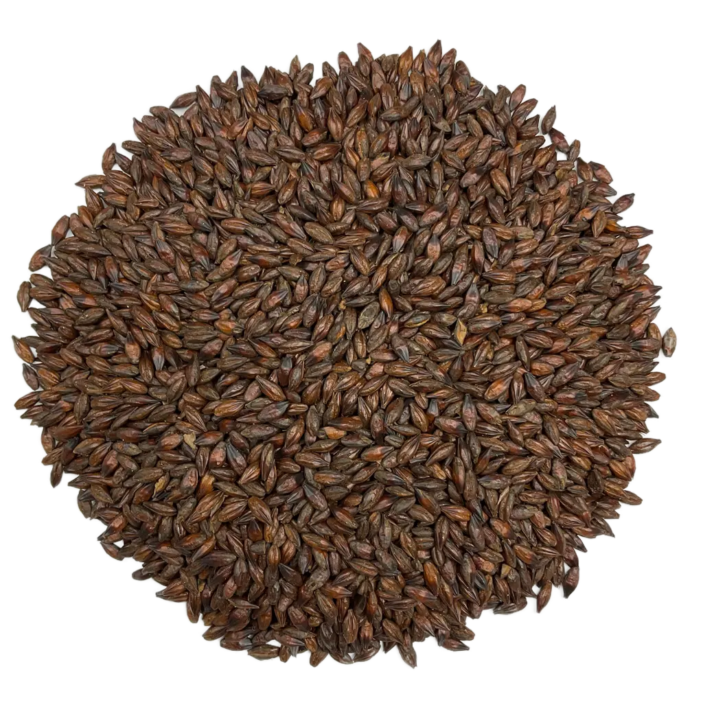 Brewing Deals That Won’t Last