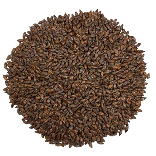 Briess Briess Roasted Barley – Top-Down View Showing Overall Grain Color