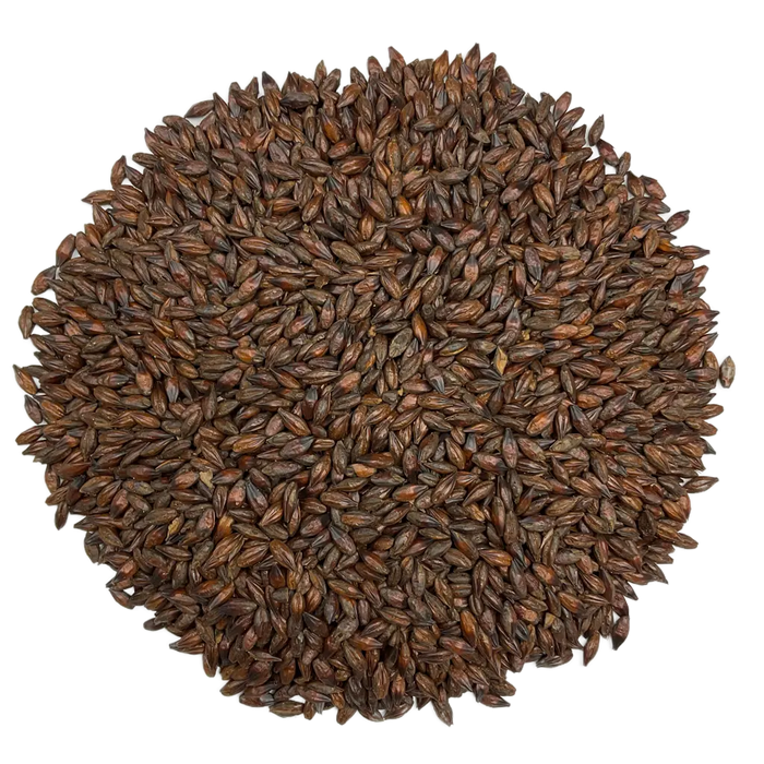 Briess Briess Roasted Barley – Top-Down View Showing Overall Grain Color