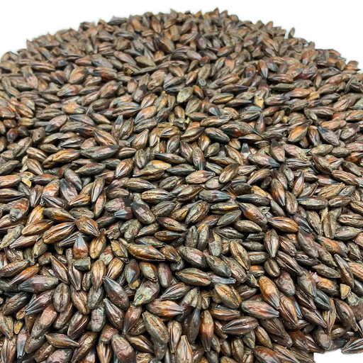 Briess Briess Roasted Barley – Close-Up View Showing Detailed Grain Texture