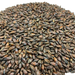 Briess Briess Roasted Barley – Close-Up View Showing Detailed Grain Texture