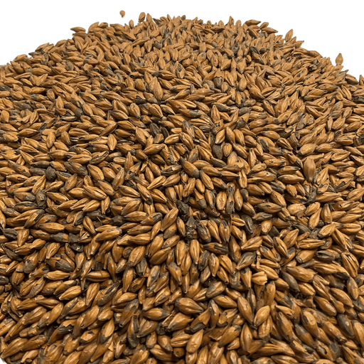 Image of Castle Malting Château Café Malt for adding distinct coffee flavor and aroma in beers, close up view of grain.